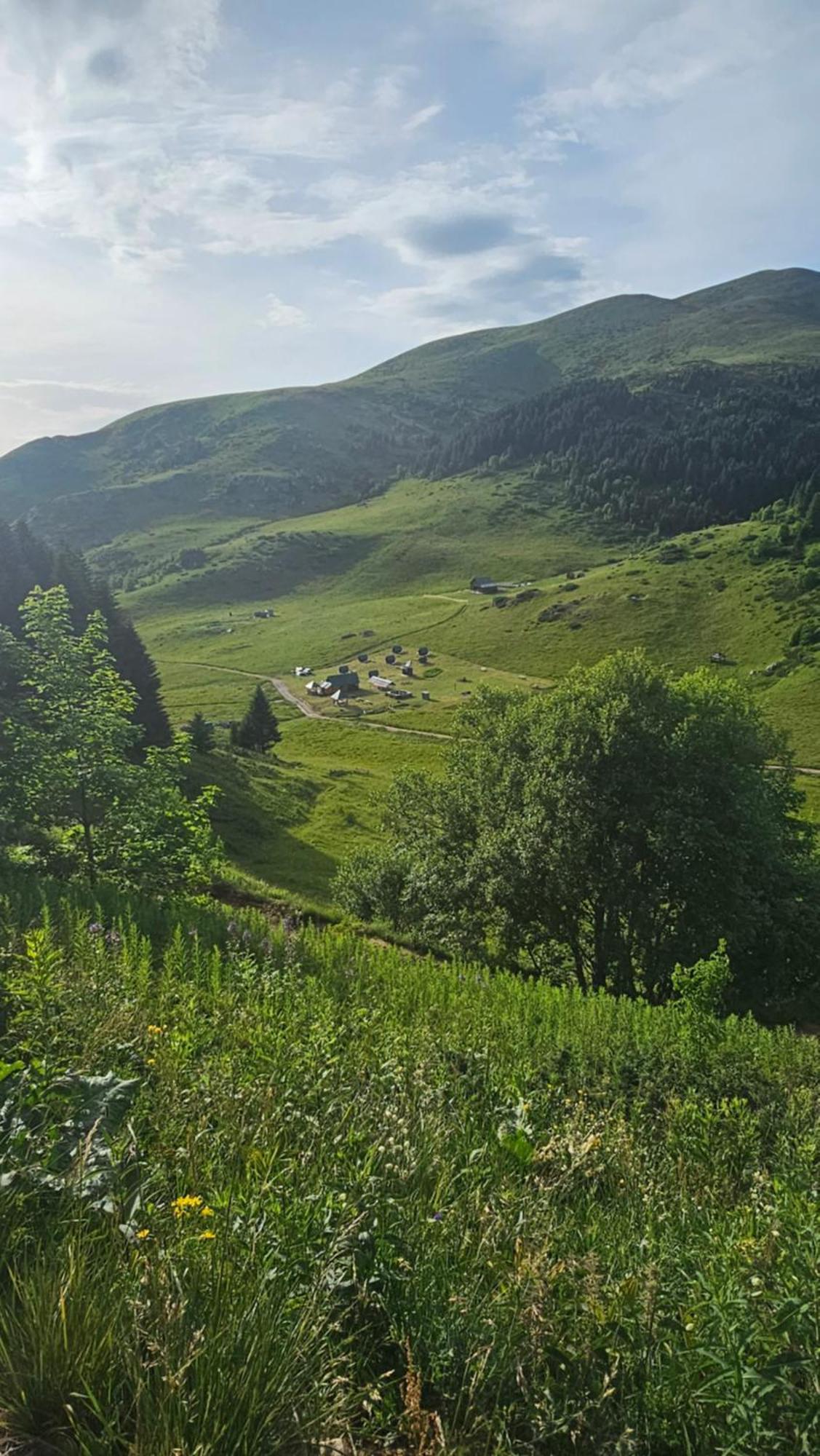 Rural Household Janketic ξενώνας Kolašin Εξωτερικό φωτογραφία